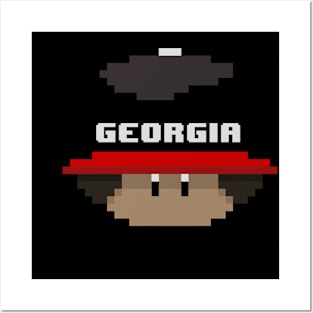 Georgia Posters and Art